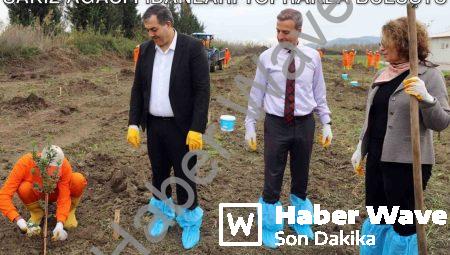 Dalaman Cezaevi’nde Tarımsal Kalkınma: Sakız Ağacı Fidanları Toprakla Buluştu