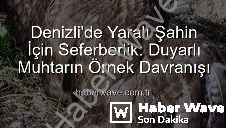 Denizli’de Yaralı Şahin İçin Seferberlik: Duyarlı Muhtarın Örnek Davranışı