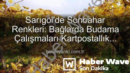 Sarıgöl’de Sonbaharın Büyüsü: Üzüm Bağlarında Kartpostal Manzaralar Eşliğinde Budama Çalışmaları Başladı