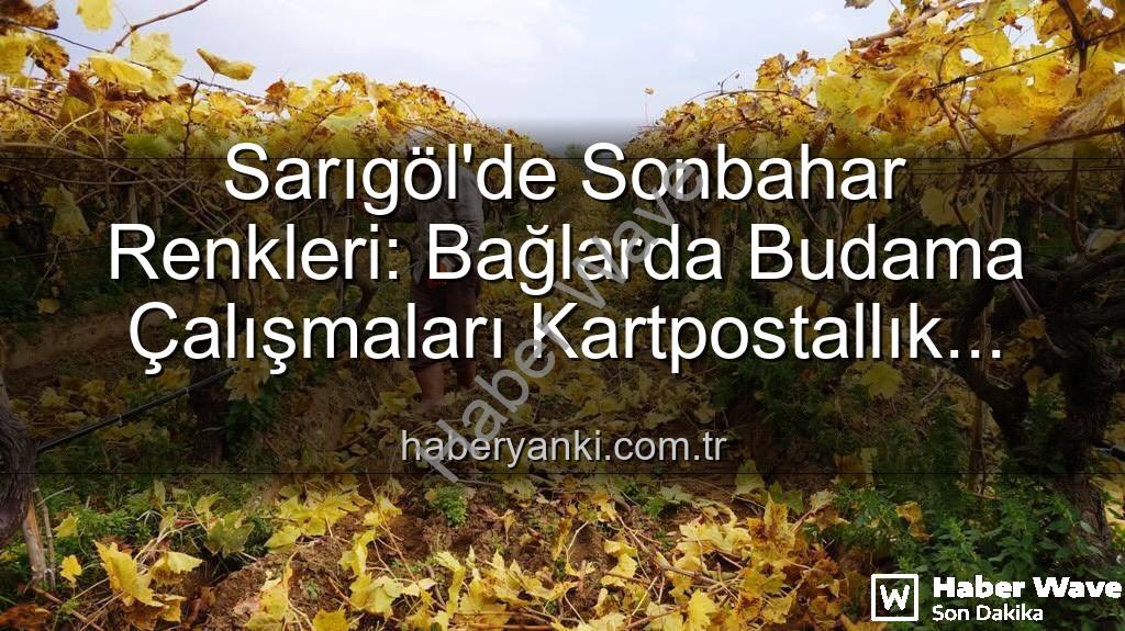 sarıgöl üzüm bağları - Sarıgöl'de Sonbaharın Büyüsü: Üzüm Bağlarında Kartpostal Manzaralar Eşliğinde Budama Çalışmaları Başladı
