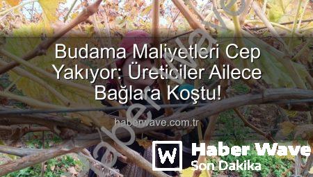 Budama Maliyetleri Cep Yakıyor: Üreticiler Ailece Bağlara Koştu!