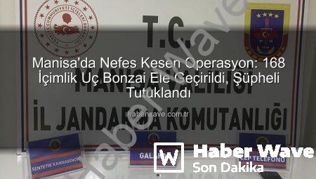 Manisa’da Nefes Kesen Operasyon: 168 İçimlik Uç Bonzai Ele Geçirildi, Şüpheli Tutuklandı