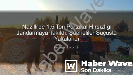 Nazilli’de Nefes Kesen Operasyon: 1.5 Ton Portakal Hırsızlığı Jandarmaya Takıldı!