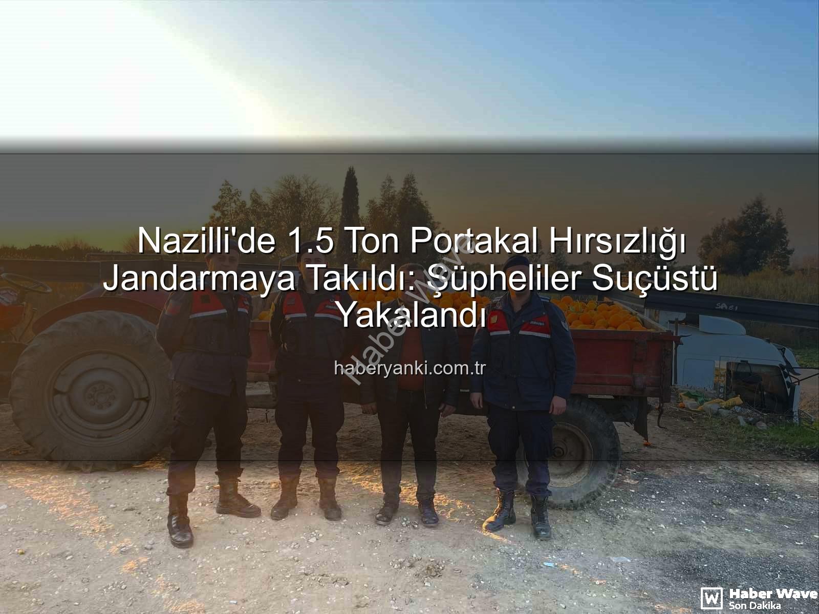 portakal hırsızlığı - Nazilli'de Nefes Kesen Operasyon: 1.5 Ton Portakal Hırsızlığı Jandarmaya Takıldı!