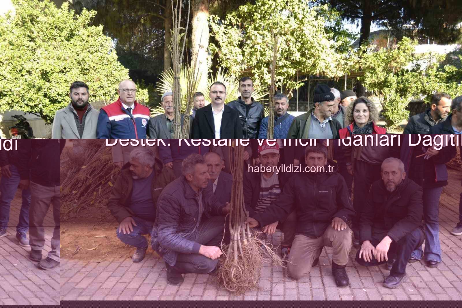 kestane incir fidesi - Sultanhisar'da Üreticilere Bereketli Destek: 9.500 Kestane ve İncir Fidesi Dağıtıldı