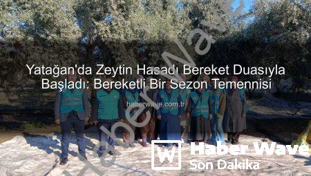 Yatağan’da Zeytin Hasadı Bereket Duasıyla Başladı: Bereketli Bir Sezon Temennisi