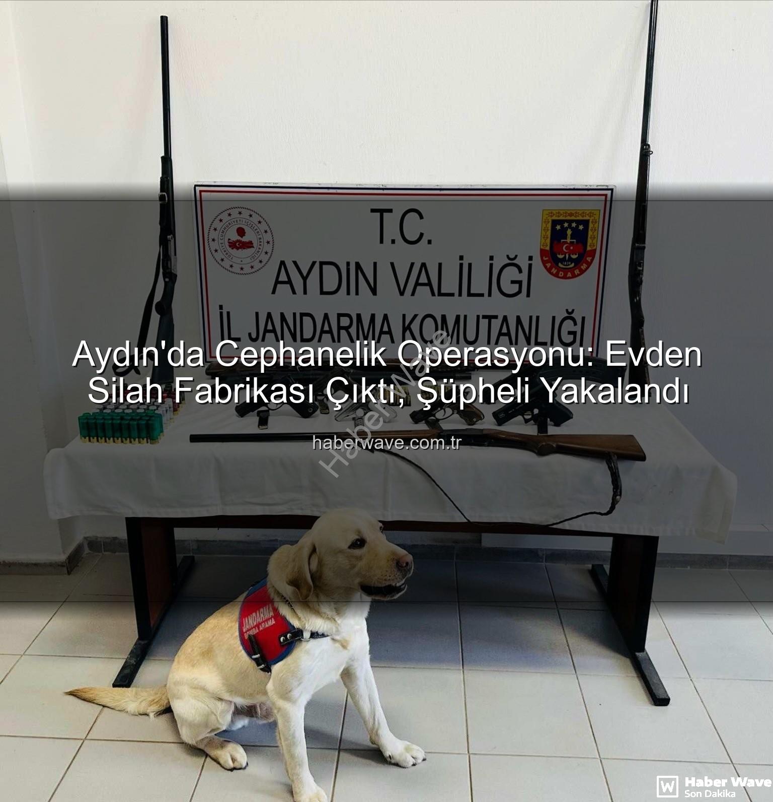 ruhsatsız silah - Aydın'da Cephanelik Operasyonu: Evden Silah Fabrikası Çıktı, Şüpheli Yakalandı