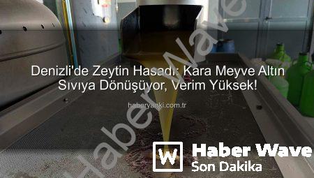 Denizli’de Zeytinin Altın Sıvıya Dönüşüm Yolculuğu: Bereketli Hasat ve Üretim Süreci Haberwave.com.tr’de