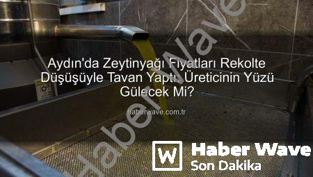Aydın’da Zeytinyağı Fiyatları Rekolte Düşüşüyle Tavan Yaptı: Üreticinin Yüzü Gülecek Mi?
