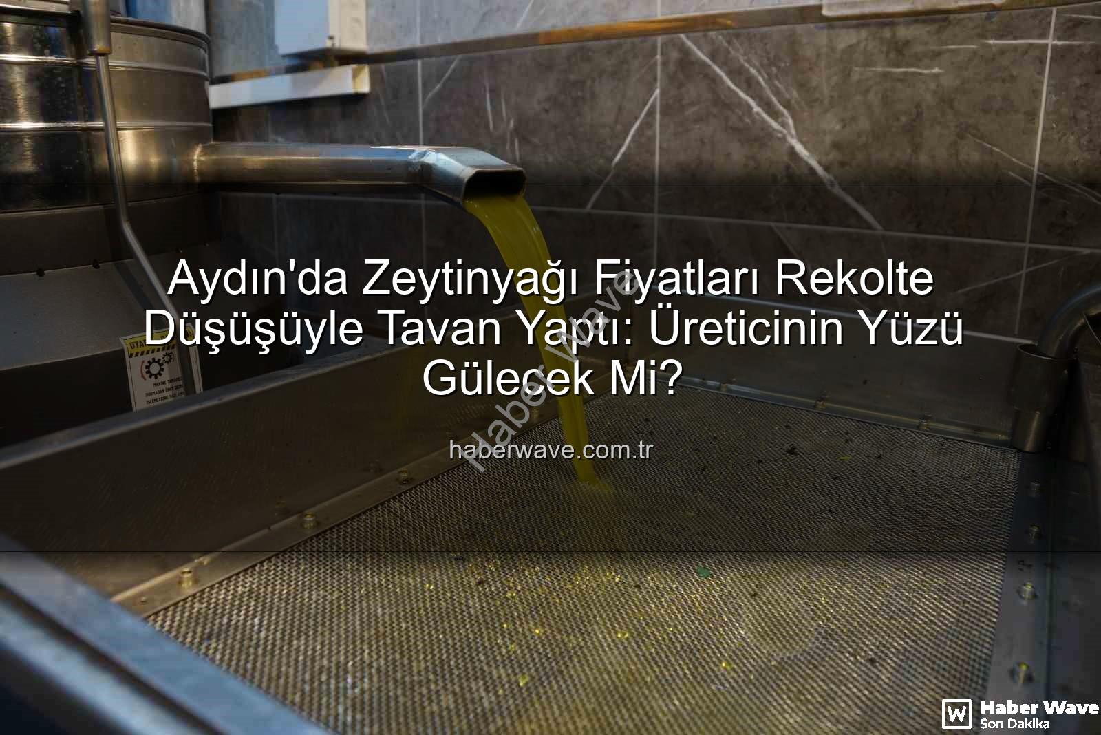 zeytinyağı fiyatları - Aydın'da Zeytinyağı Fiyatları Rekolte Düşüşüyle Tavan Yaptı: Üreticinin Yüzü Gülecek Mi?