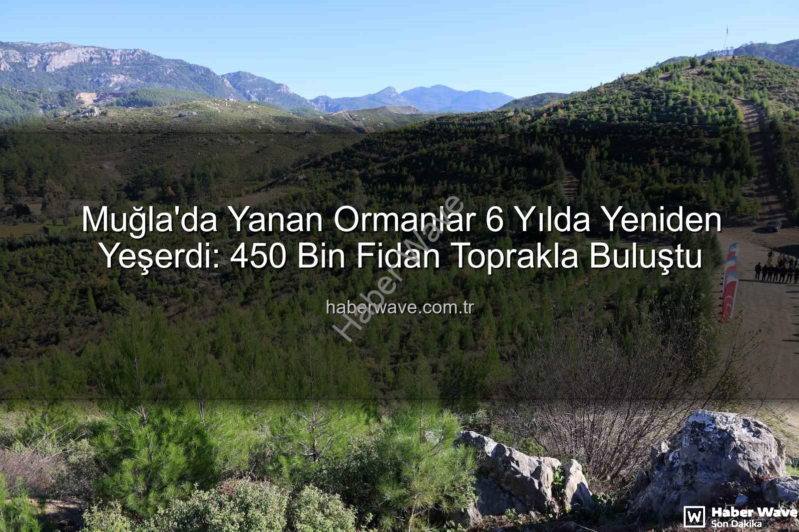 yanan ormanlar yeniden yeşerdi - Muğla'da Yanan Ormanlar 6 Yılda Yeniden Yeşerdi: 450 Bin Fidan Toprakla Buluştu