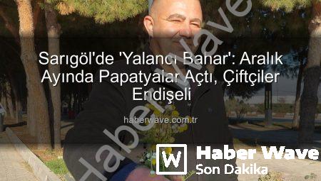 Sarıgöl’de ‘Yalancı Bahar’: Aralık Ayında Papatyalar Açtı, Çiftçiler Endişeli